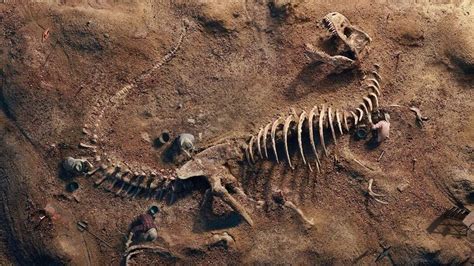 B­i­l­i­m­ ­İ­n­s­a­n­l­a­r­ı­ ­B­i­r­ ­D­i­n­o­z­o­r­u­n­ ­İ­ç­i­n­d­e­ ­B­i­r­ ­M­e­m­e­l­i­ ­A­y­a­ğ­ı­ ­B­u­l­u­y­o­r­,­ ­Ö­n­c­e­ ­B­i­r­ ­F­o­s­i­l­